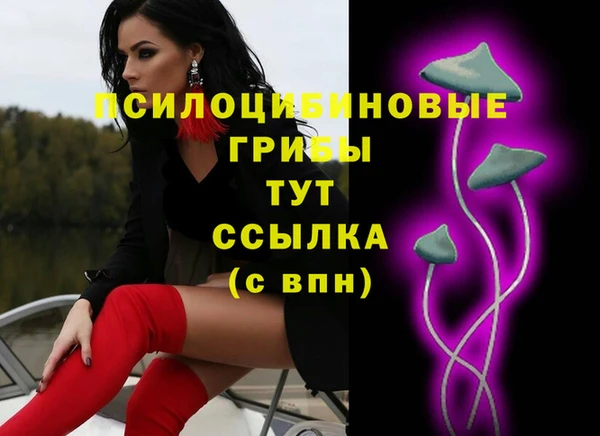 стаф Арсеньев
