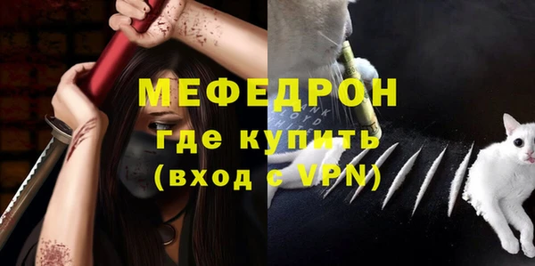 стаф Арсеньев