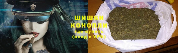 стаф Арсеньев