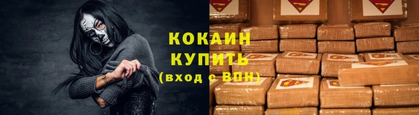 стаф Арсеньев