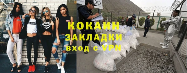 стаф Арсеньев