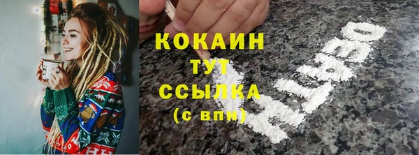 стаф Арсеньев
