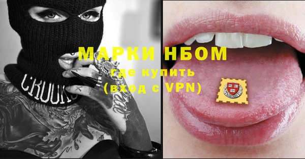 стаф Арсеньев
