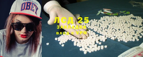 стаф Арсеньев