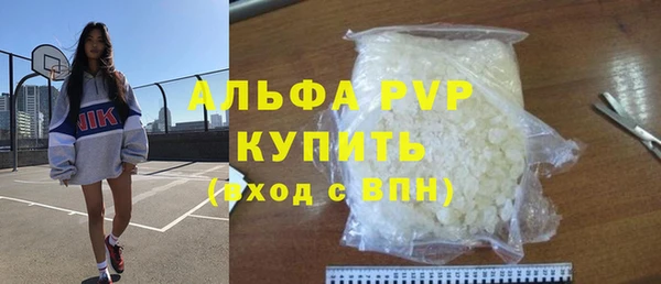 стаф Арсеньев