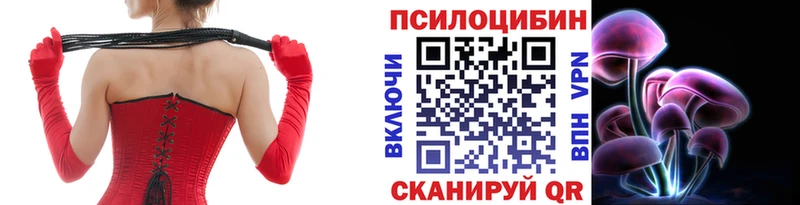 Псилоцибиновые грибы мицелий  купить наркотики цена  Удачный 